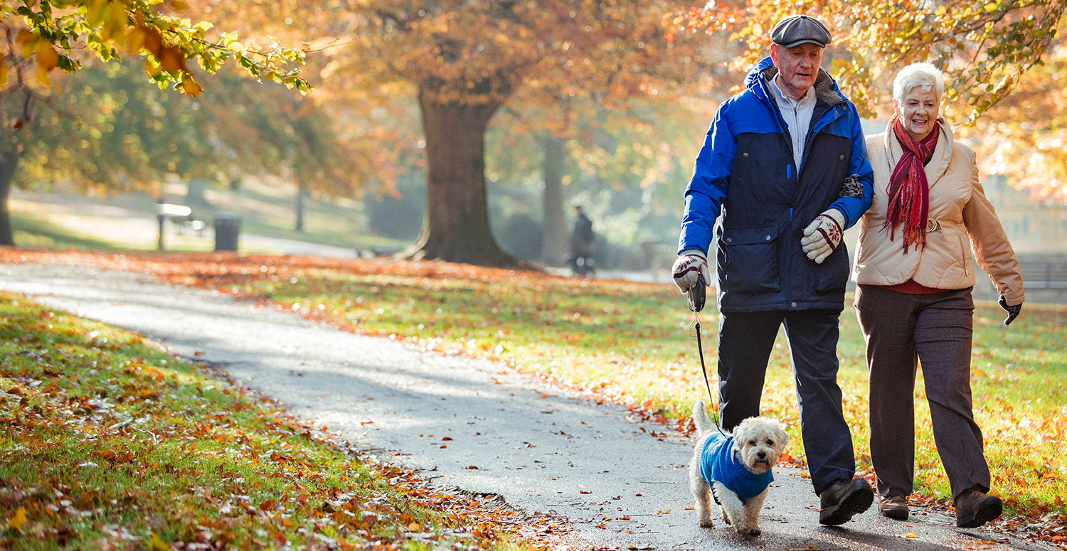 Elderly couple walking their dog through the park in the fall